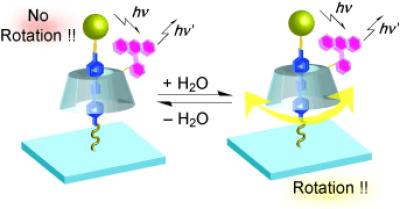 Nanorotors Detected Doing The Molecular Hula Hoop